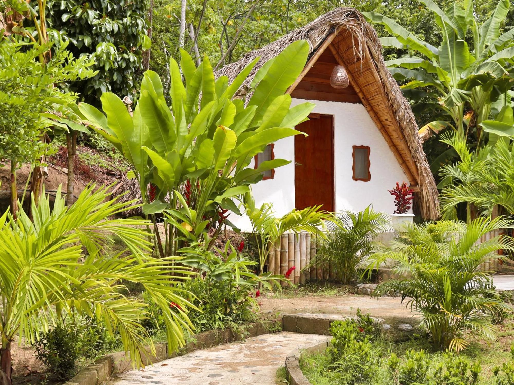 Eco Hotel Amanecer Tayrona เอลไซโน ภายนอก รูปภาพ